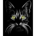 DIY 5D Teemantmaali Loom T&auml;is&uuml;mmargune Kass Teemanttikandid Ristpistes Kunst Rhinestone Mosaiic Kodukaunistuse kingitus Full Round 20x30CM