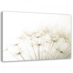 L&otilde;uenditr&uuml;kk Dandelion Nature Beige 60x40 beež