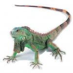 3D-autokleebise simulatsiooniga looma kaitseraua ukse sisekujundus Scorpion Spider Lizard kleebis Scorpion