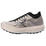 Arcteryx Sylan Pro Moodsad Mugavad Libisemiskindlad Hingavad Kerged Madalad Maastikujooksukingad Meeste toss Helehall X000010077-RUNE/RUNE 47⅓