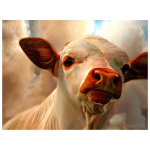 DIY Teemanttikandid Teemantmaalid Teemantmosaiik Ristpistes &Uuml;kssarvik ja haldjas 20X30CM