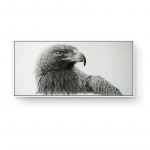 Suured lahedad kotkasloomad p&otilde;hjap&otilde;drapea seinapildid kaasaegse kunsti plakat Valge must l&otilde;uendimaal elutoa sisekujunduseks 40x80cm No Frame