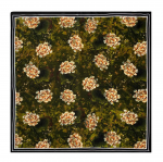 Kvaliteetsed luksuslikud siidist sallid peapael Sallid kaelasall naistele kett siidist sall naiste dekoratiivne sall 110-100