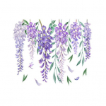 Wisteria Vine WC kleebis Eemaldatav isekleepuv veekindel PVC elutoa seinakunst Vannitoa tualettruumi kaane kaunistuskleebis