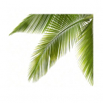 Kleebis Eemaldatav isekleepuv veekindel PVC elutuba Vannitoa seinakunst Greenery WC kaane kaunistuskleebis