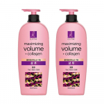 Elastine Moroccan Argan Oil Damage Shampoo, 680ml, 2 tk