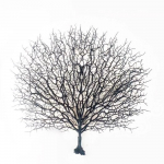 Kunstlik korallimere lehvik Korallide dekoor Tehissarve oksad Plastist oks Akvaariumi kaunistus Akvaariumi maastik Dekoratiivne taimede oks