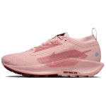 Nike React Pegasus Trail 5 Gore Tex Roosa Oxford Punane Sepia Punane Stardust Naiste tossud FQ0912-601 37.5 roosa