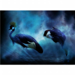 Teemantmaali ristpistekomplektid Teemanttikandid Mosaiik Paabulinnu muster Pilt Kodukaunistuse kingitus 20X30CM