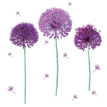 Les Tr&eacute;sors De Lily [Q8273] &ndash; Lillade Alliumi kleebiste leht &ndash; 50x70 cm Heleroosa