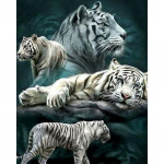 N&auml;put&ouml;&ouml; 5D isetehtud teemantmaal T&auml;ispuur t&auml;ispuur ristpistes k&auml;sit&ouml;&ouml;komplekt Kodukaunistuse maalimine 30x40CM