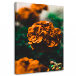 L&otilde;uenditr&uuml;kk Oranžid lilled 40x60 oranž