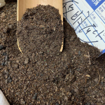 Nightshade Gram Kuivatatud Hiina Ravimtaimed Originaalravim Meditsiiniline 500g/1.1lb 50g/1.76oz