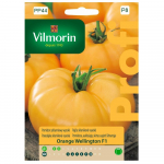 K&otilde;rge kasvuhoonetomat Orange Wellington F1 seemned 15 tk. - VILMORIN