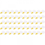 Drfeify pi&egrave;ges &agrave; mouches &agrave; puuviljad 50 pi&egrave;ces tueur de moucherons fongiques attrapent efficacement les insectes