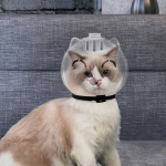 Kassi suukorv Hingav kapuuts Kerge Kriimustusvastane Lemmiklooma suukate L&auml;bipaistev suplemiseks M