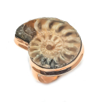 Ammonite Fossil Handmade Copper Jewelry Ring Size 9 g9b01