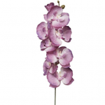 Pretty Imitation Phalaenopsis Easy Care V&auml;rskelt s&auml;iliv isetegemine valge