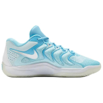 Nike KD 17 libisemiskindlad kulumiskindlad madalad korvpallijalatsid meestele Sinised FZ1526-400 44.5