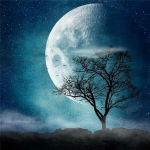 Teemantmaal Uus maastikupuu 5D DIY Teemanttikandid Kuu pildid kividest mosaiigist kodukaunistus Full Round 30x30CM punane