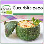 SAFLAX - mahe - kabat&scaron;okk - Tondo di Nizza - 5 seemet - Cucurbita pepo