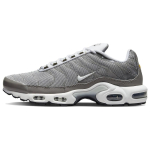 Nike Air Max Plus SE Flat Pewter Meeste Tennised Hall Photon-Dust Must DV7665-002 40.5 gray
