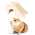 Hamstri ronimism&auml;nguasjamaja Huvitav peidupaik, kus m&auml;ngitakse sarnase suurusega lemmikloomadele Ladder