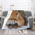Rebane Loom Armas Tekid Samet Suvi Lumi Imetaja Multifunktsionaalne &Uuml;lipehme Viske Tekk Voodipesu jaoks V&auml;ljas Pl&uuml;&uuml;s &Otilde;huke Tepitud Tepp 75x100cm 30x40in brown