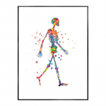 Inimese anatoomia plakat Skelett Luud L&otilde;uendmaalid Seinakunst Meditsiinikabinetti Kliinik HD-fotod F&uuml;sioteraapia ruumi sisustus raamita 50x70cm No Framed