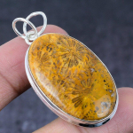 Fossil Coral Gemstone Handmade 925 Sterling Silver Jewelry Pendant 2.05 p2t81
