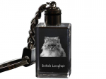 British Longhair - Crystal pendant with cat photo, illuminated pendant, unique gift by Art-Dog brand puhas