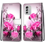 Luksuslik v&auml;rvitud nahast &uuml;mbris Rahakott Raamatu stiilis kaitse&uuml;mbris Nokia G42/Nokia G310 5G/Nokia C32 C12/Nokia G60/Nokia G21 G11/Nokia C01 Plus jaoks Nokia G20/Nokia G10