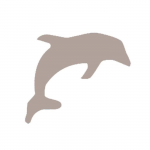 Perforatrice dauphin Artemio 1x1.5cm 1 x 1,5 cm