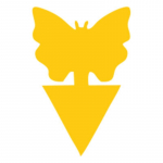 1/5/10TK Kleepuv P&uuml;&uuml;nis Puuviljak&auml;rbes S&auml;&auml;sk Kollased Kleepuvad Putukap&uuml;&uuml;nised K&auml;rbese Kahjurite Putukap&uuml;&uuml;nised P&uuml;&uuml;djad Putukas 10PCS