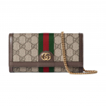 Gucci Ophidia Double G pandlaga l&otilde;&otilde;tsaga rahakott-&otilde;lakott Naiste rahakott Beež Tume pruun 772309-96IWG-8745 Basic Set (Bag+Dust Bag)