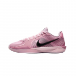 Nike libisemisvastased kulumiskindlad madalad korvpallijalatsid Naiste Roosa FZ1517-601 48