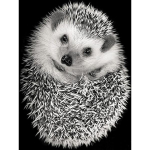 5D Diy Hedgehog Teemantmaal, t&auml;ispuur Teemanttikandid Loomade Ristpistes Kit Ristpistes Rhinestone Mosaiic Kodukaunistamise kingitus Full Round 20x30CM