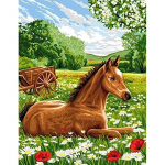 DIY Horse 5D Teemantmaal T&auml;isring puur Loom Teemanttikandid Ristpistes Mosaiik Komplektid Vaigust seina kunst Kodukaunistus Full Round 60x90CM
