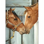 5D t&auml;is&uuml;mmargune puur DIY Teemantmaaling Hobune Ristpistes Loom Daimond Tikand Mosaiik Seinakunst Kingitus Kodukaunistus Full Round 20x30CM