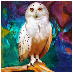 DIY teemantv&auml;rvimine t&auml;isring puur Loomade linnupuu 5D Teemanttikandid Mosaiik Papagoi Ristpistekomplekt Kodukaunistused K&auml;sit&ouml;&ouml; Full Round 20x20CM