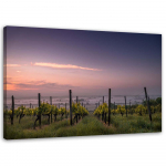 L&otilde;uenditr&uuml;kk Grapes Vineyard Landscape 60x40 lilla