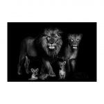 Mustvalge loomal&otilde;uendi maalimine Beebil&otilde;vi pere plakat ja prindid Elutoa kaunistamiseks m&otilde;eldud seinapildid Kodukaunistused 70x120 No Frame