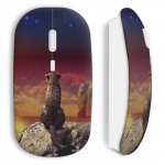 Leopard Sea juhtmeta hiir