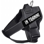 Lemmikloomatarbed Koera rinnarihm Keskmise suurusega koerarihm Koerarihm Koerarihm Koerariided S