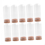 10 t&uuml;kki klaasist kupleid dekoratiivsed purgid multifunktsionaalne kellakujuline kuppel isendite jaoks koju 30mmx70mm