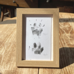 Kutsika k&auml;paj&auml;lje m&auml;lestuste raami komplekt Jalaj&auml;lje isekleepuv tempel Stamp + Frame