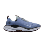 Nike React Infinity Run 4 Gore-Tex Ashen Slate Light Pumice Dark Smoke 41