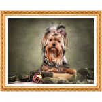 DIY Teemantmaal Ristpistes Koerte Teemanttikandid Loomade t&auml;is&uuml;mmargused teemantpildid 20X30CM