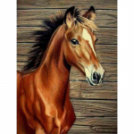 Teemanttikandid Anmial Ristpistes DIY Teemantmaaling Horse seeria kodukaunistus 20X30CM