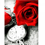 Teemanttikandid roos T&auml;iskandiline/&uuml;mmargune Uus saabumine 3D DIY Teemantmaaling Hall Vaade Silmusrist Pilt kivist seinakunstist Kodukaunistus Full Round (20X30CM)